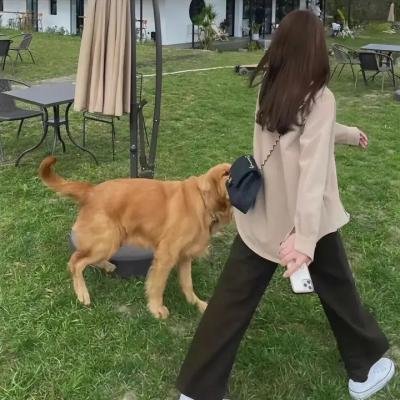 退休大赢家